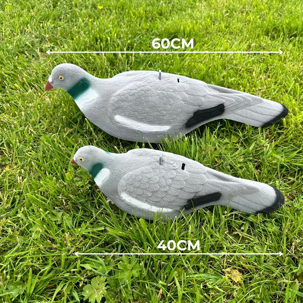 Extra large WINDY Magnum Flocked Pigeon Decoy Shell for hunting, realistic feathered texture, weather-resistant design.