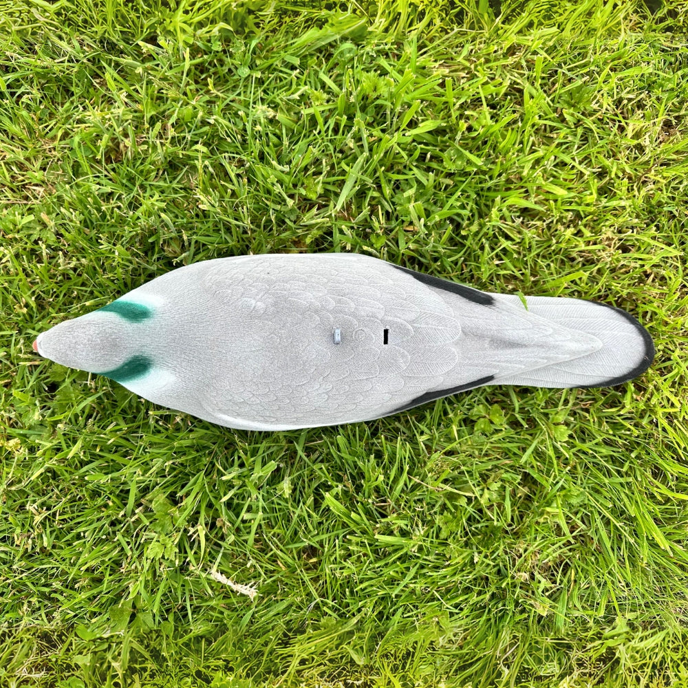 Extra large WINDY Magnum flocked pigeon decoy shell for hunting or bird control, featuring realistic feather details.
