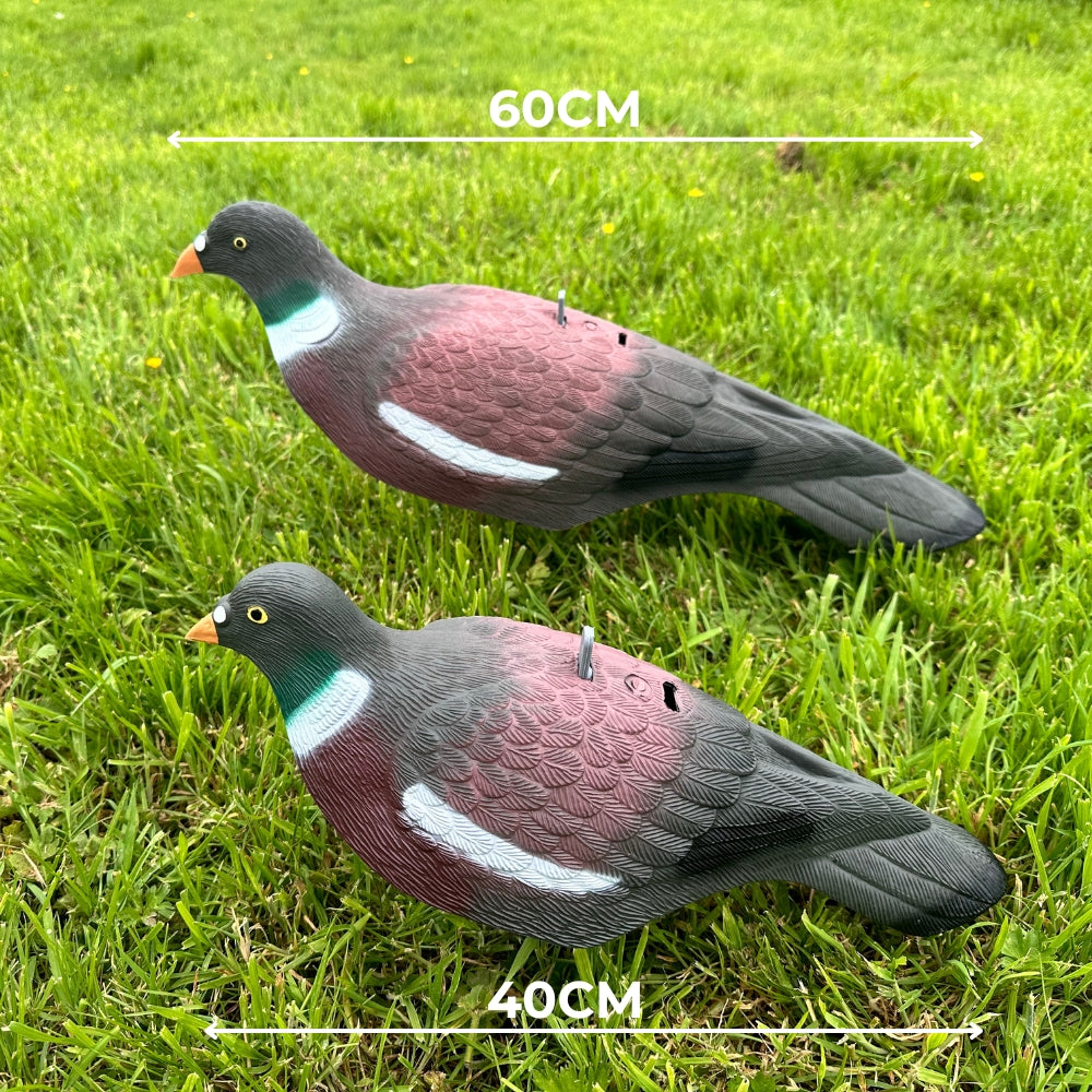 Extra Large Magnum Plastic Pigeon Decoy Shell by WINDY, realistic bird decoy for hunting or bird control.