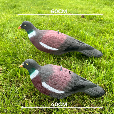 Extra Large Magnum Plastic Pigeon Decoy Shell by WINDY, realistic bird decoy for hunting or bird control.