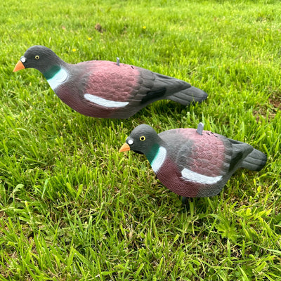 Extra large WINDY plastic pigeon decoy shell used for bird hunting and decoy setups.