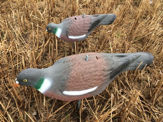Extra large WINDY Magnum plastic pigeon decoy shell for bird hunting, realistic pigeon decoy with detailed feather pattern.