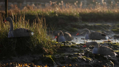 Flocked Greylag and Pinkfoot Goose decoy shell by WINDY, life-size and stackable for hunting or decoy setups.