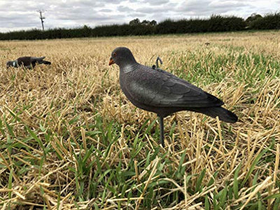 Windy Flocked Lofting Pigeon Decoy for hunting, featuring realistic bird design with flocked texture for effective bird decoying.