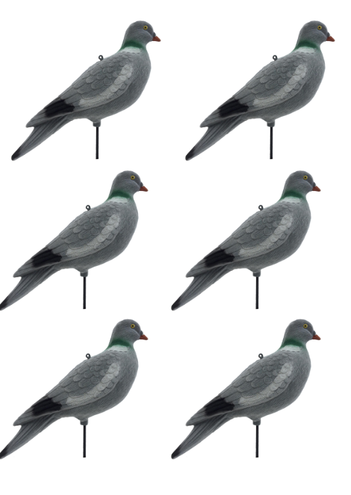 Flocked Lofting Pigeon Decoy by WINDY, realistic bird decoy for hunting or wildlife photography, showing detailed flocked surface.