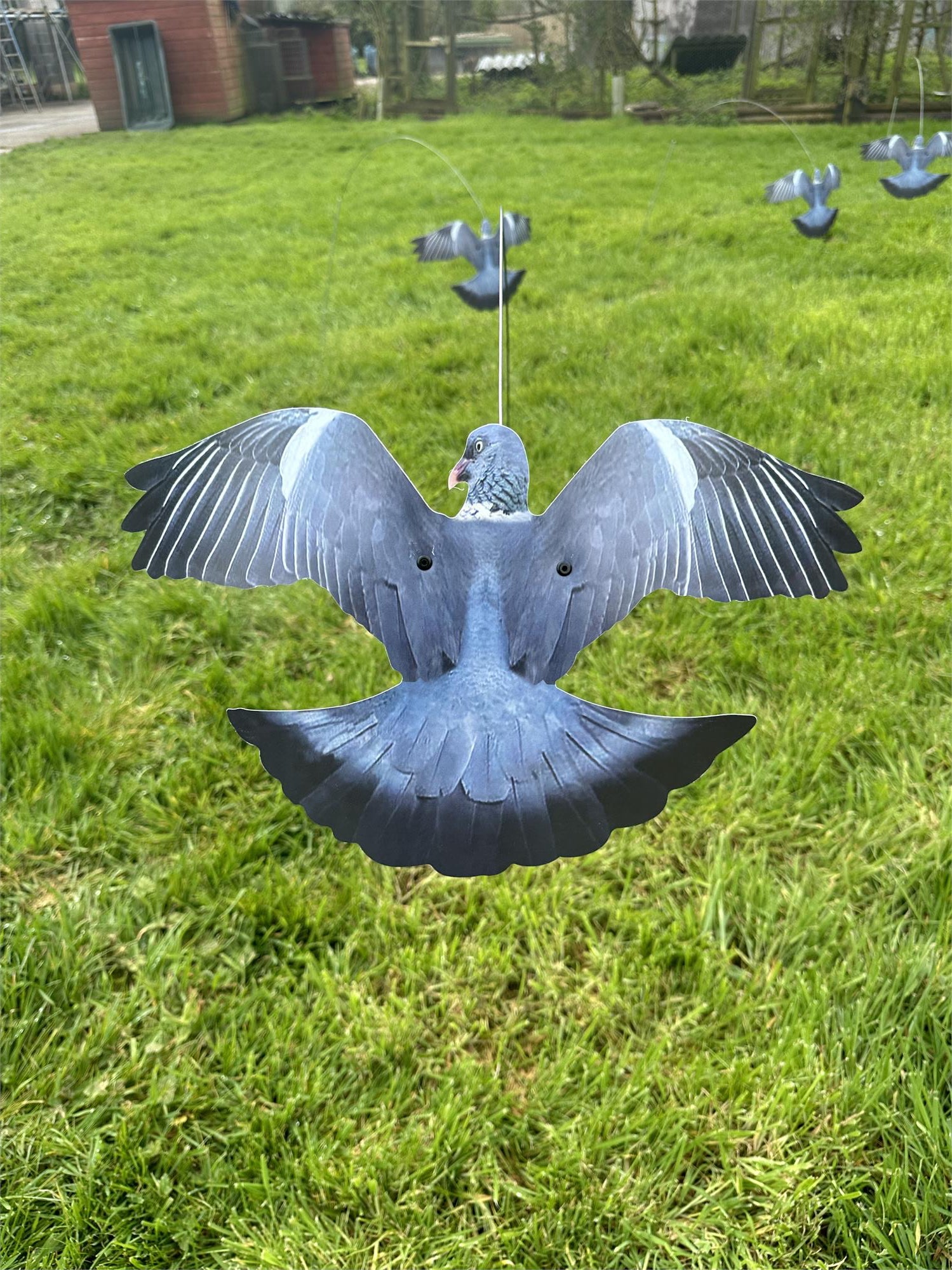 Windy Flying Pigeon Deceiver decoy used for bird control, featuring realistic pigeon design for effective deterrence.