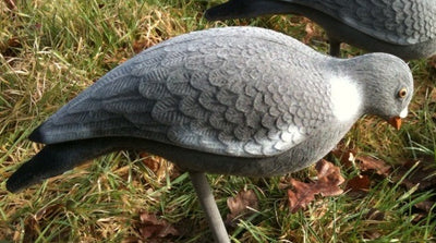 Full-bodied flocked feeding pigeon decoy by WINDY, realistic no-shine finish with ground peg, designed for outdoor bird decoy use.