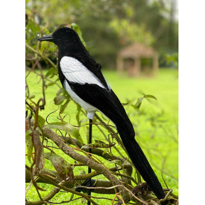 High definition flocked magpie full-bodied decoy by WINDY, showcasing realistic bird features and detailed feather texture.