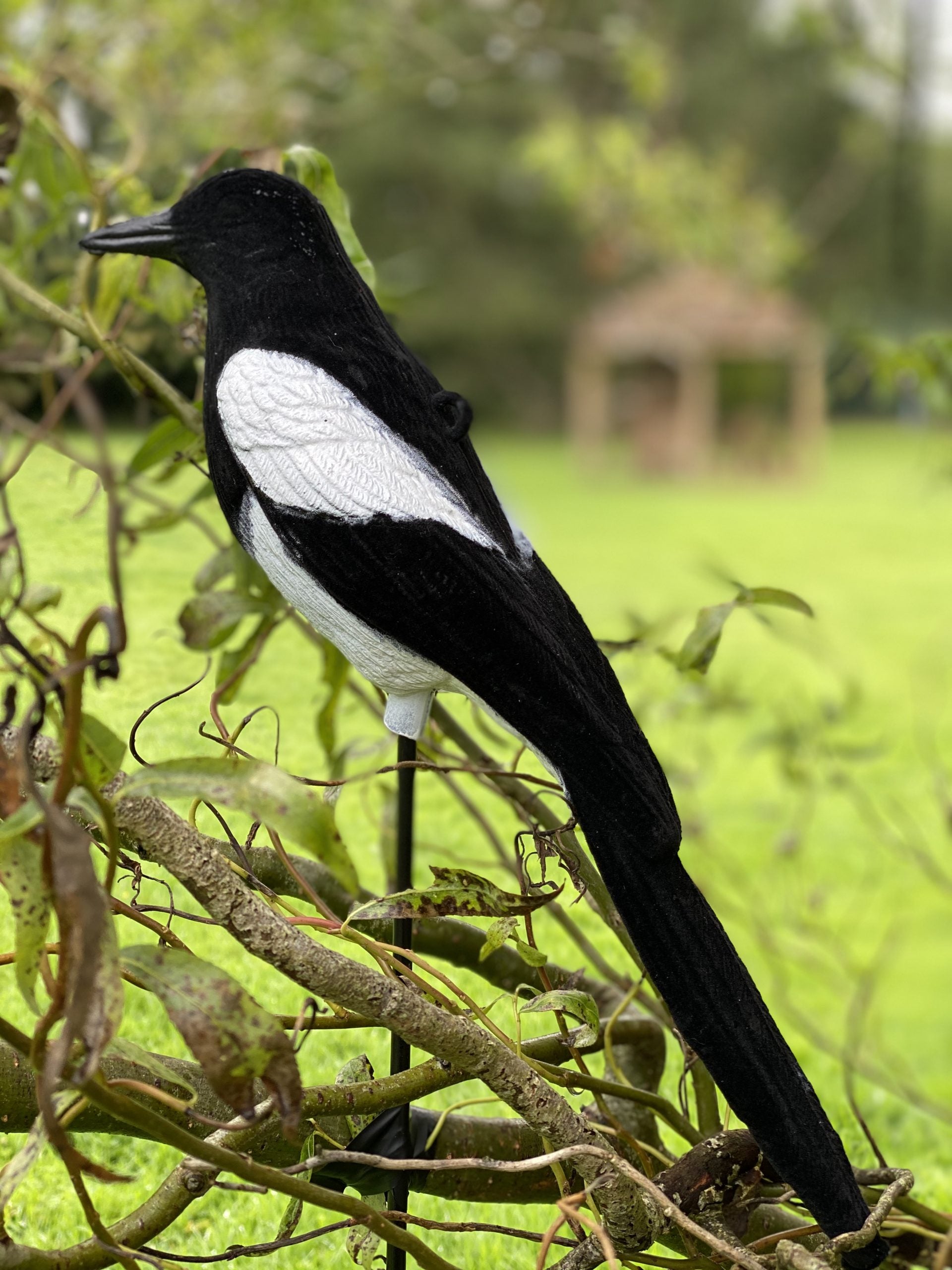 High definition flocked magpie full-bodied decoy by WINDY, designed for realistic bird hunting and decoy setup.