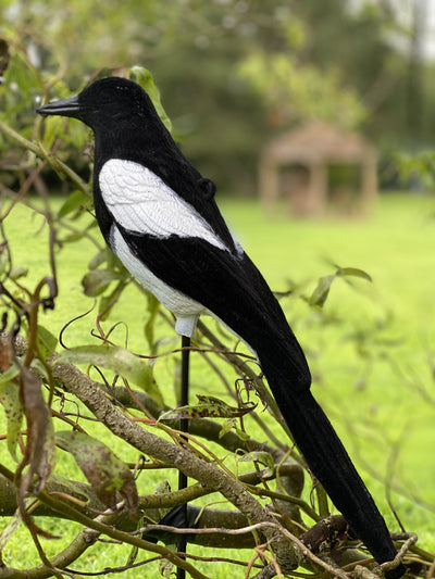 High definition flocked magpie full-bodied decoy by WINDY, designed for realistic bird hunting and decoy setup.