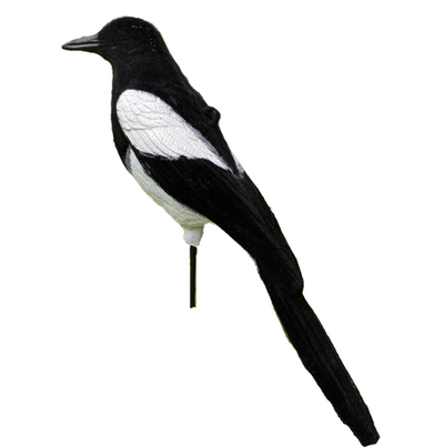High Definition Flocked Magpie Full Bodied Decoy by WINDY, realistic black and white magpie for bird hunting or decoy setups.