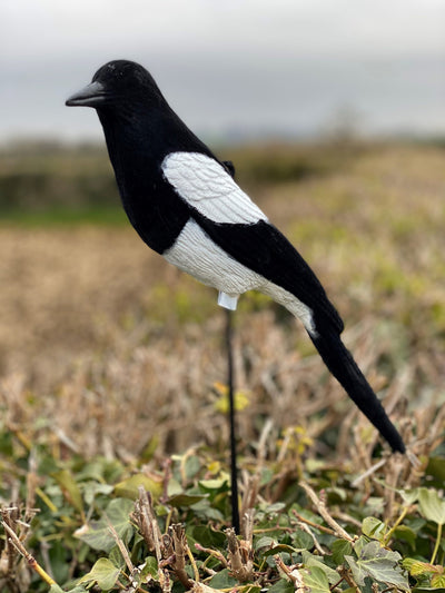 High definition flocked magpie full-bodied decoy from WINDY, realistic bird decoy for hunting or bird control.