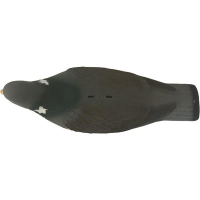 High Definition WINDY pigeon shell decoys for hunting, showing realistic bird decoys with detailed feather patterns