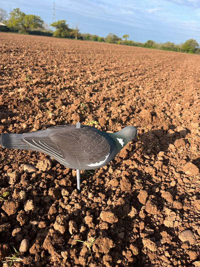 High definition WINDY pigeon shell decoys for bird hunting, featuring realistic feather details and durable construction.