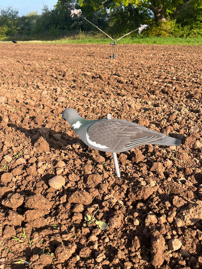 High definition WINDY pigeon shell decoys for hunting, showing detailed bird decoys with realistic features.