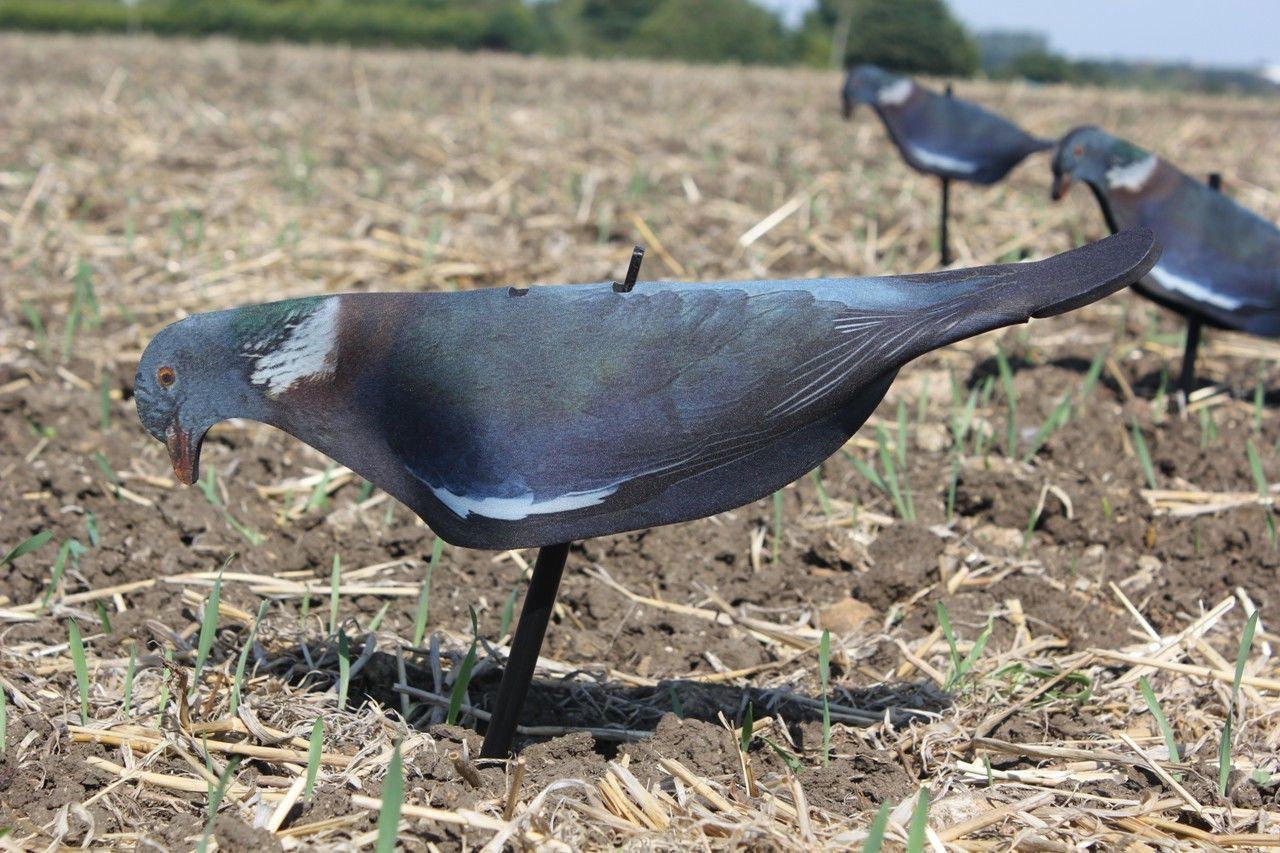 Windy neoprene pigeon shell decoy for bird hunting, featuring a realistic pigeon shape and detailed feather pattern.