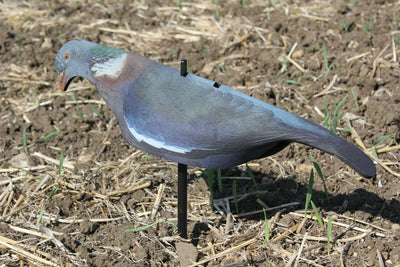 WINDY Neoprene Pigeon Shell Decoy showing a realistic pigeon shape and camouflage design for bird hunting or wildlife decor.