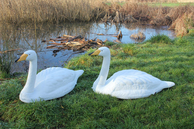 Windy orange beak mute swan decoy with realistic feather details, designed for bird hunting and wildlife decoration.