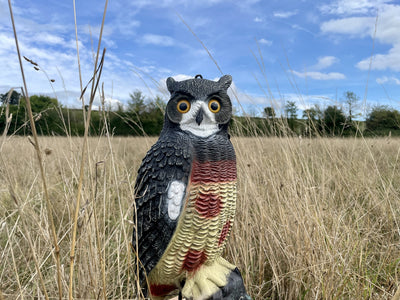 Large WINDY owl decoy bird scarer for pigeons and crows, full-body bird deterrent for garden or farm pest control.