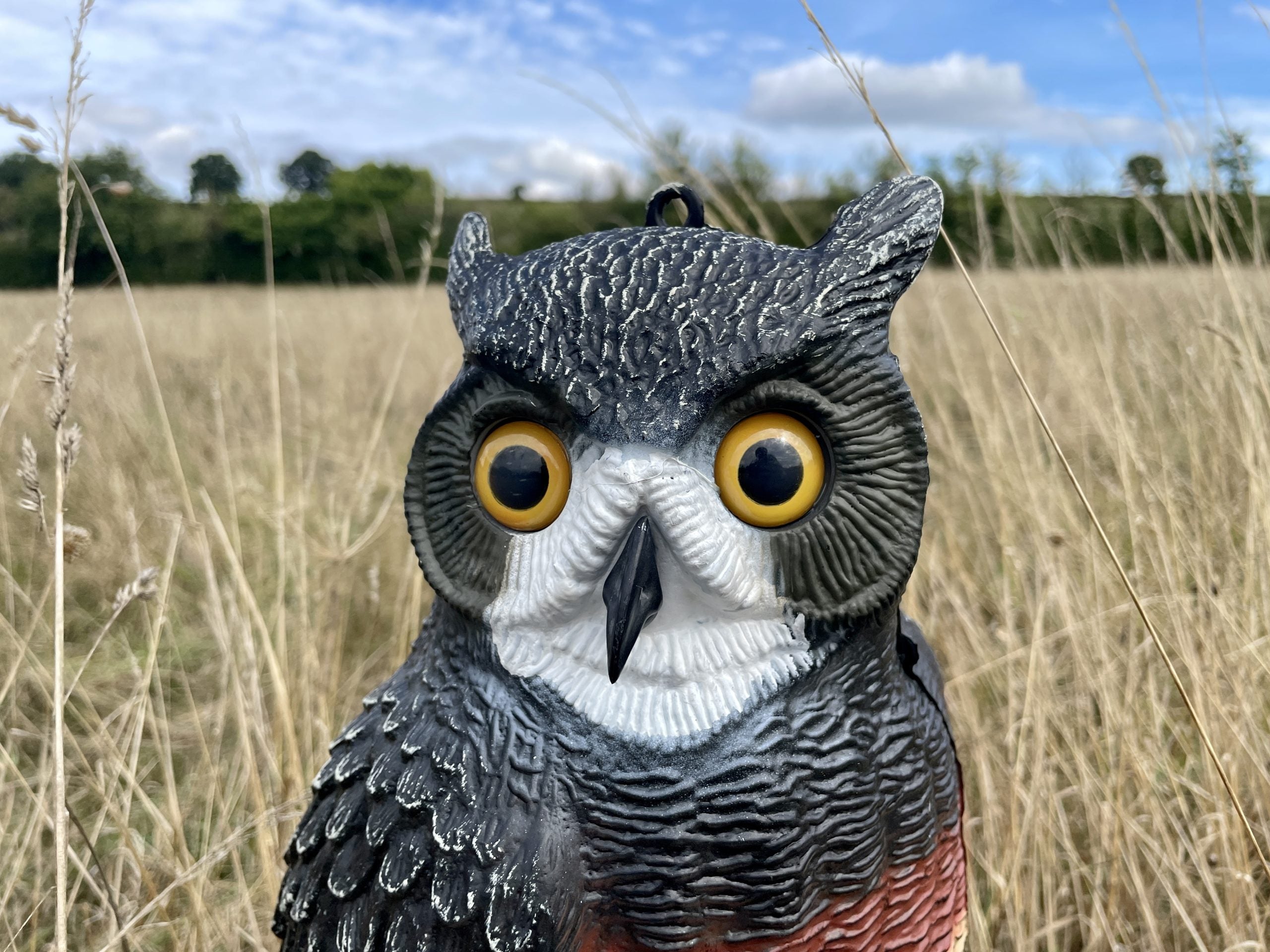 Large WINDY owl decoy bird scarer showing a full-body pigeon and crow deterrent for bird control in gardens and farms.