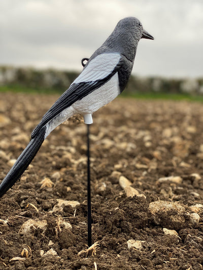 Windy plastic magpie decoys for bird control, featuring realistic design and bright colors to deter pests effectively.