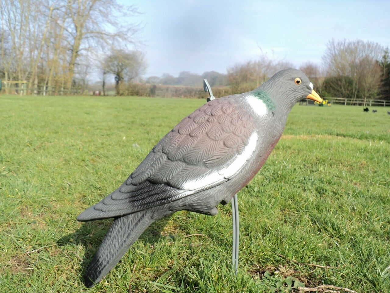 Full-bodied plastic pigeon decoy by WINDY, realistic bird decoy for hunting or bird control, shown in natural pose.