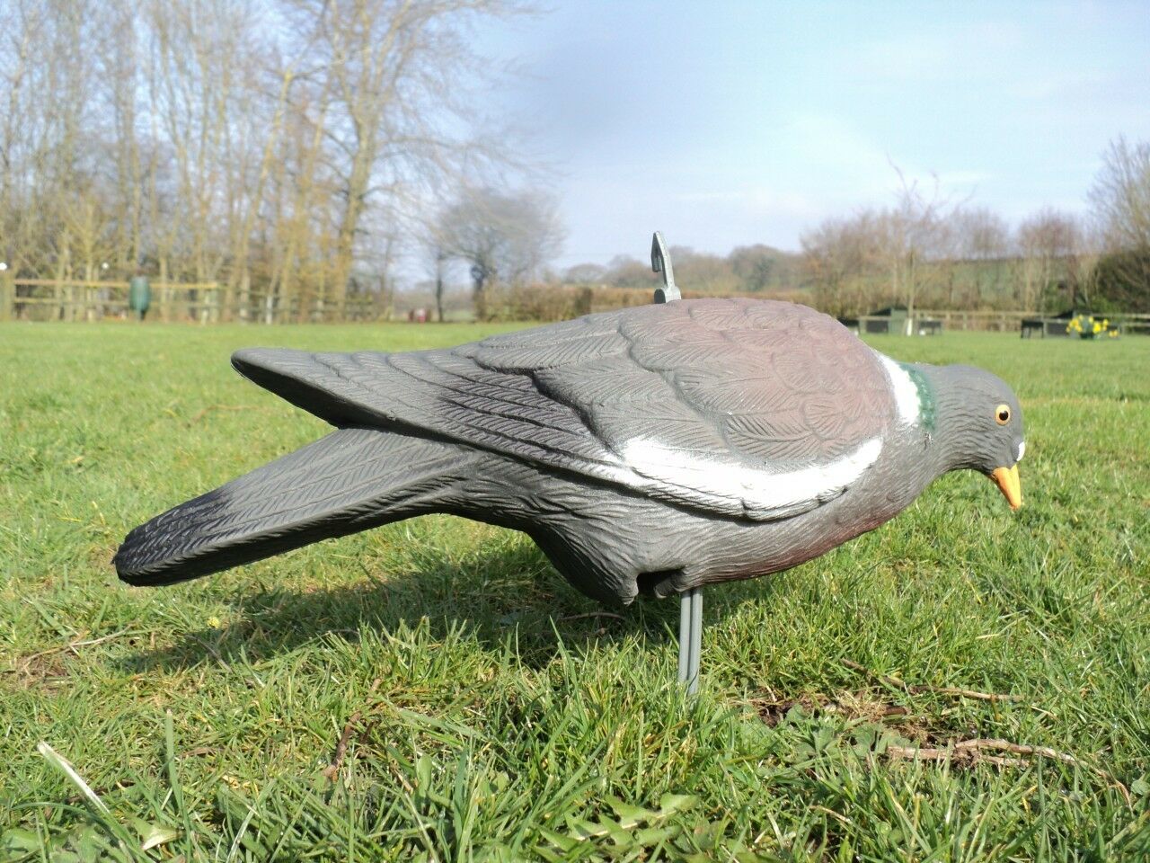 Full-bodied plastic pigeon decoy by WINDY, realistic bird decoy for hunting or outdoor decor.