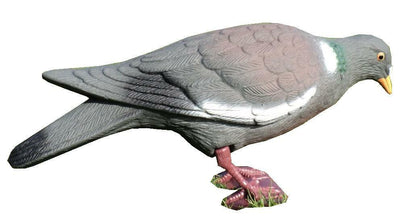 Full-bodied plastic pigeon decoy by WINDY, realistic bird decoy for hunting or bird control.