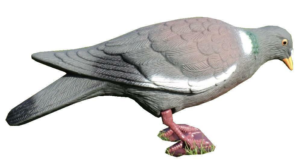 Full-bodied plastic pigeon decoy by WINDY, realistic bird decoy for hunting or bird control.