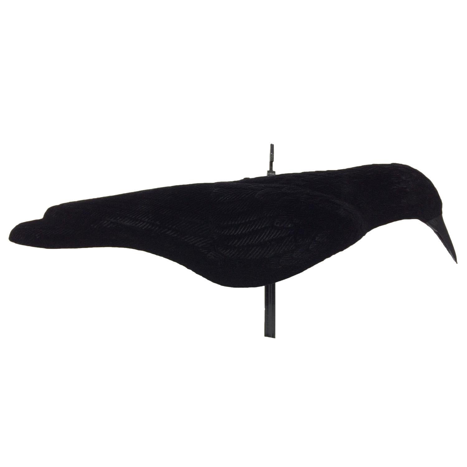 Windy Premium Crow Shell Flocked Decoy showing a realistic crow decoy with flocked surface for hunting or bird control.