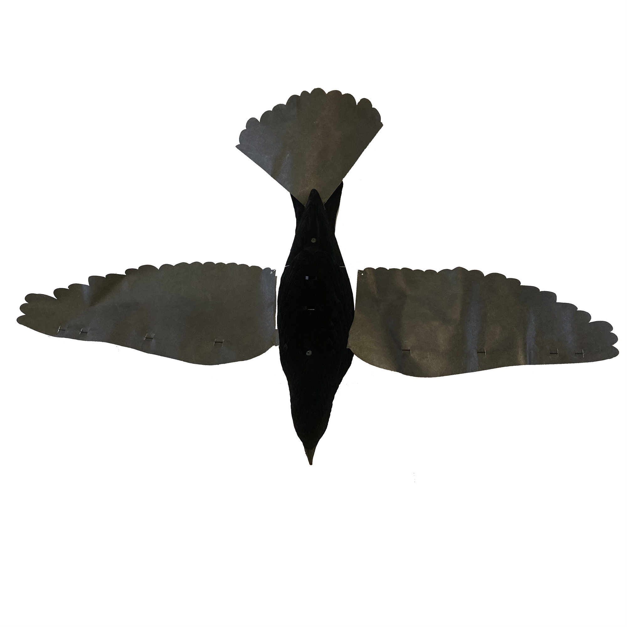 Windy Proflap Crow decoy for magnets and bouncers, realistic bird design for bird control and pest deterrence.