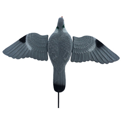 WINDY Spring Wing Pigeon Decoy for bouncers or floaters, realistic bird decoy for hunting or outdoor use.