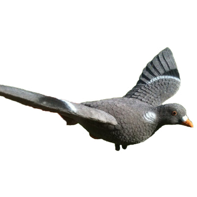 WINDY Spring Wing Pigeon decoy for bouncers or floaters, realistic bird decoy for hunting or bird control.