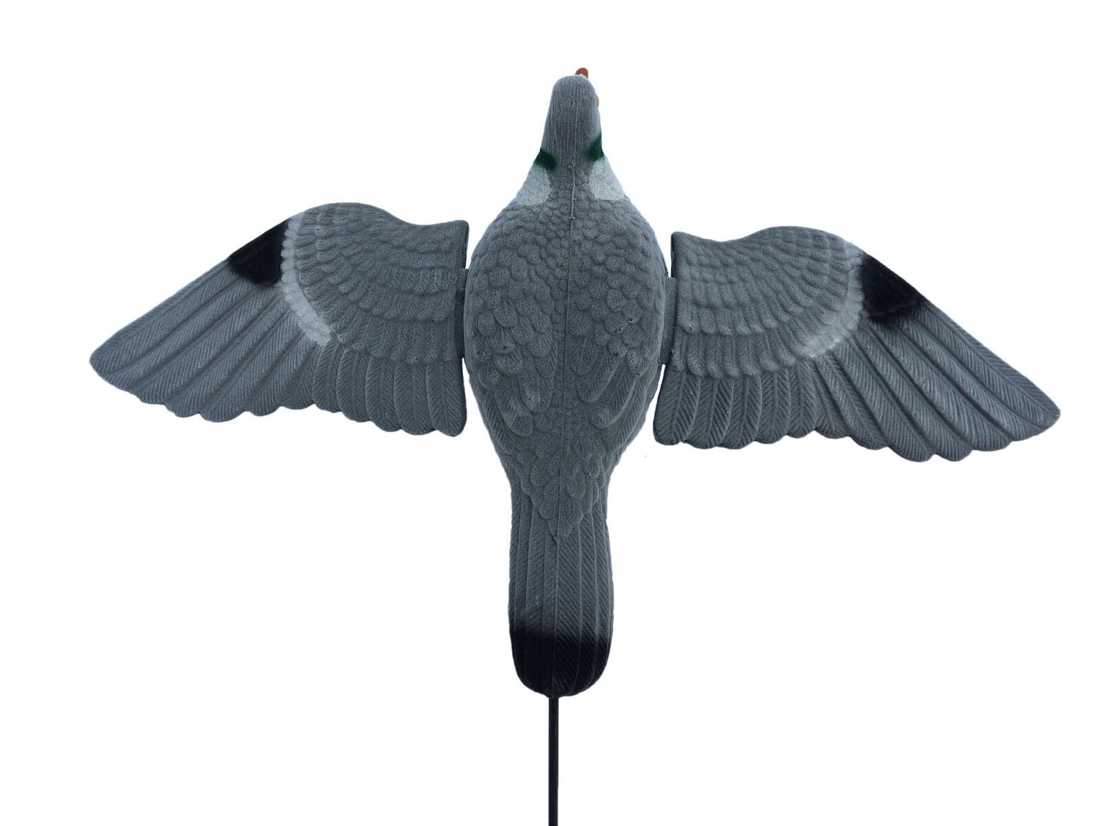 Windy Spring Wing Pigeon decoy for bouncers or floaters, realistic bird decoy used in hunting or bird control.