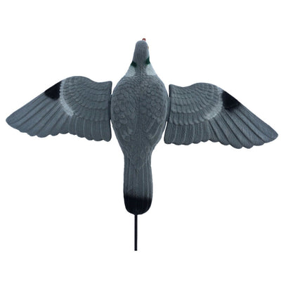 Windy Spring Wing Pigeon decoy for bouncers or floaters, realistic bird decoy for hunting or training use.