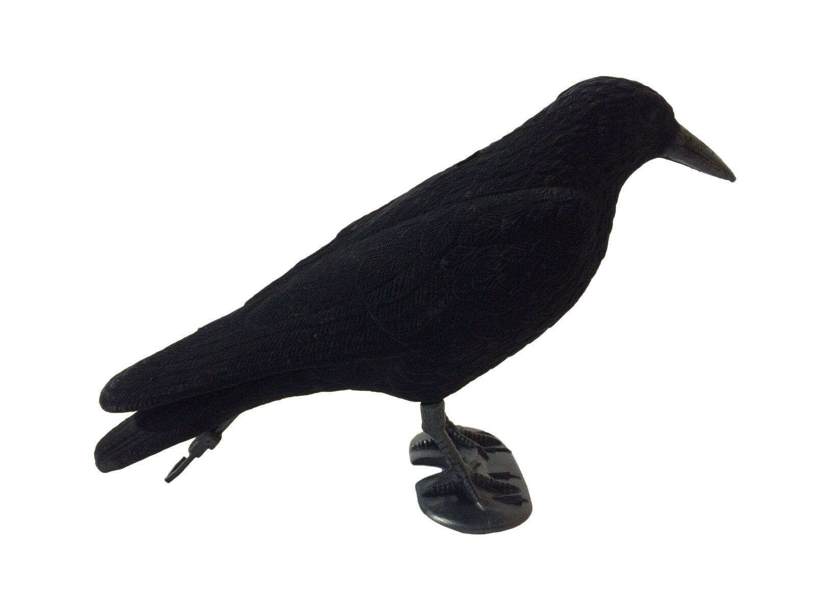 Whole body flocked crow decoys by WINDY, realistic black bird decoys for hunting or bird control, shown in natural pose.