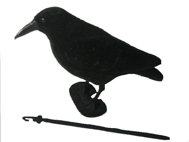 Whole body flocked crow decoy by WINDY, realistic decoy for bird hunting or wildlife observation.