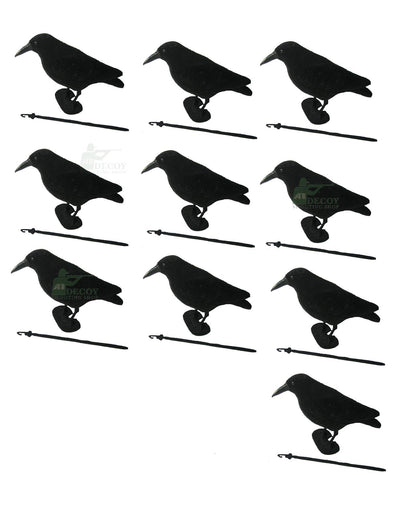 Whole body flocked crow decoys by WINDY, realistic bird decoys for hunting or wildlife observation, featuring detailed flocked finish.