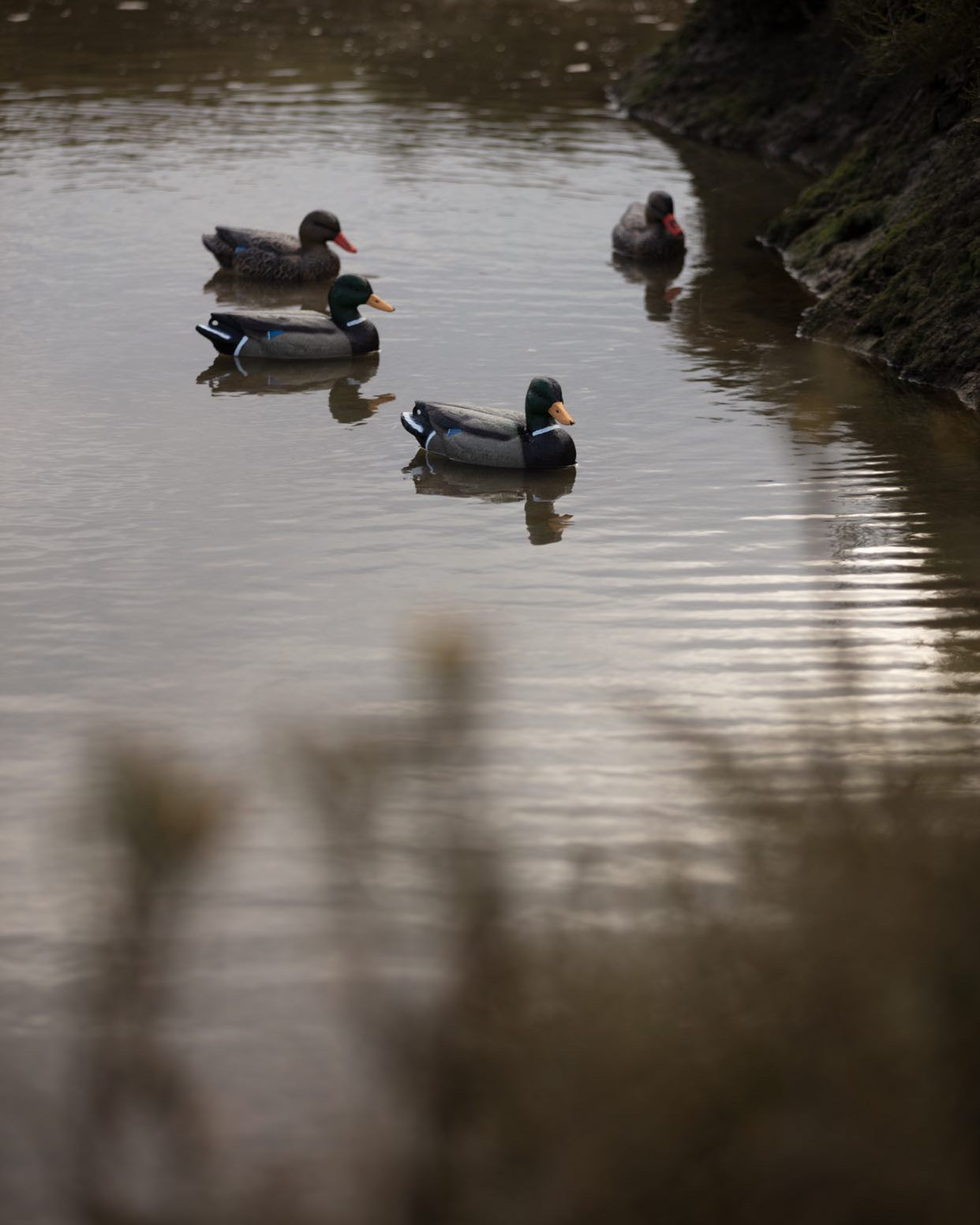 HD Full Body Mallard Decoys by WINDY, lifesize floating male mallard duck decoy for hunting or decoration.