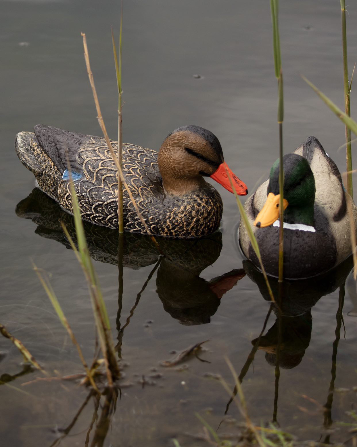 Lifesize floating mallard duck decoy by WINDY, HD full-body male drake decoy for waterfowl hunting or wildlife decor