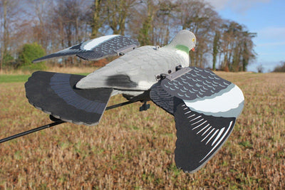 Floating pigeon with spring wings sculpture by WINDY, featuring realistic feathers and a lightweight design.