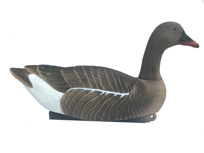 Pink-foot goose decoy by WINDY, floating decoy with realistic pink-footed goose design for hunting or decoy purposes.