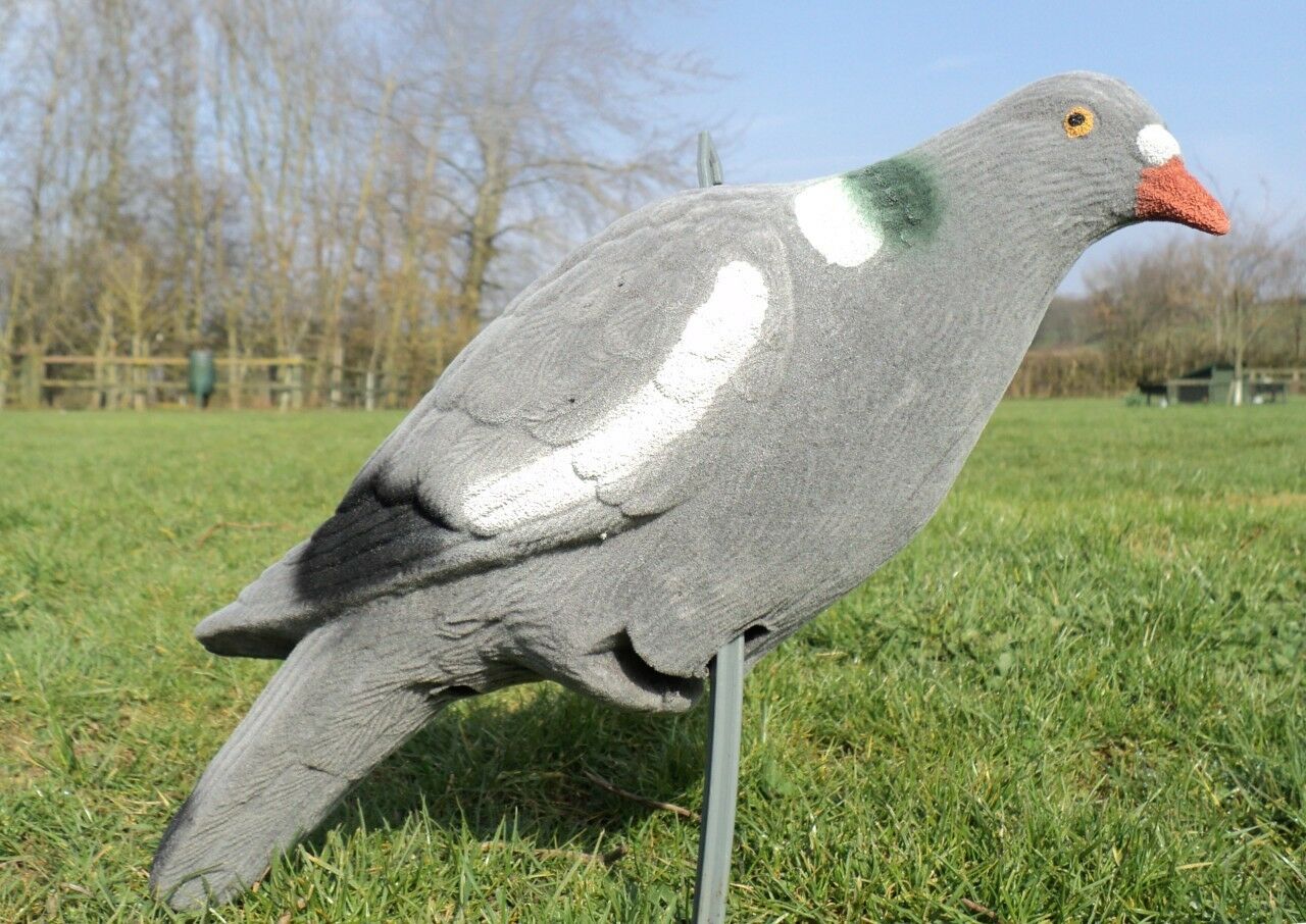 Flocked full body pigeon decoys by WINDY, multi-position for realistic bird hunting and outdoor decoy setups.
