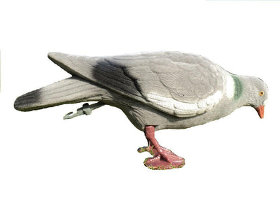 Flocked full body pigeon decoys in multiple positions by WINDY, designed for bird hunting and decoy setup.