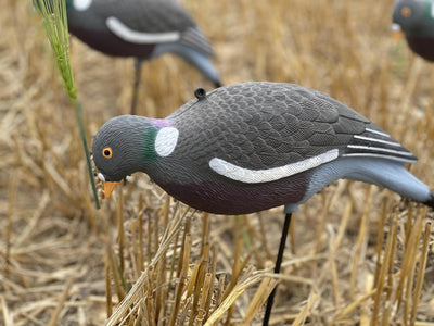 Windy HD Pigeon Decoy Kit featuring realistic decoys for bird hunting or pest control.