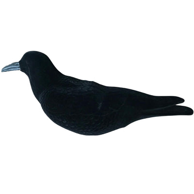 Windy Magnum Flocked Crow Full Body Decoys arranged outdoors on grass, realistic black crow decoys for hunting or bird watching.