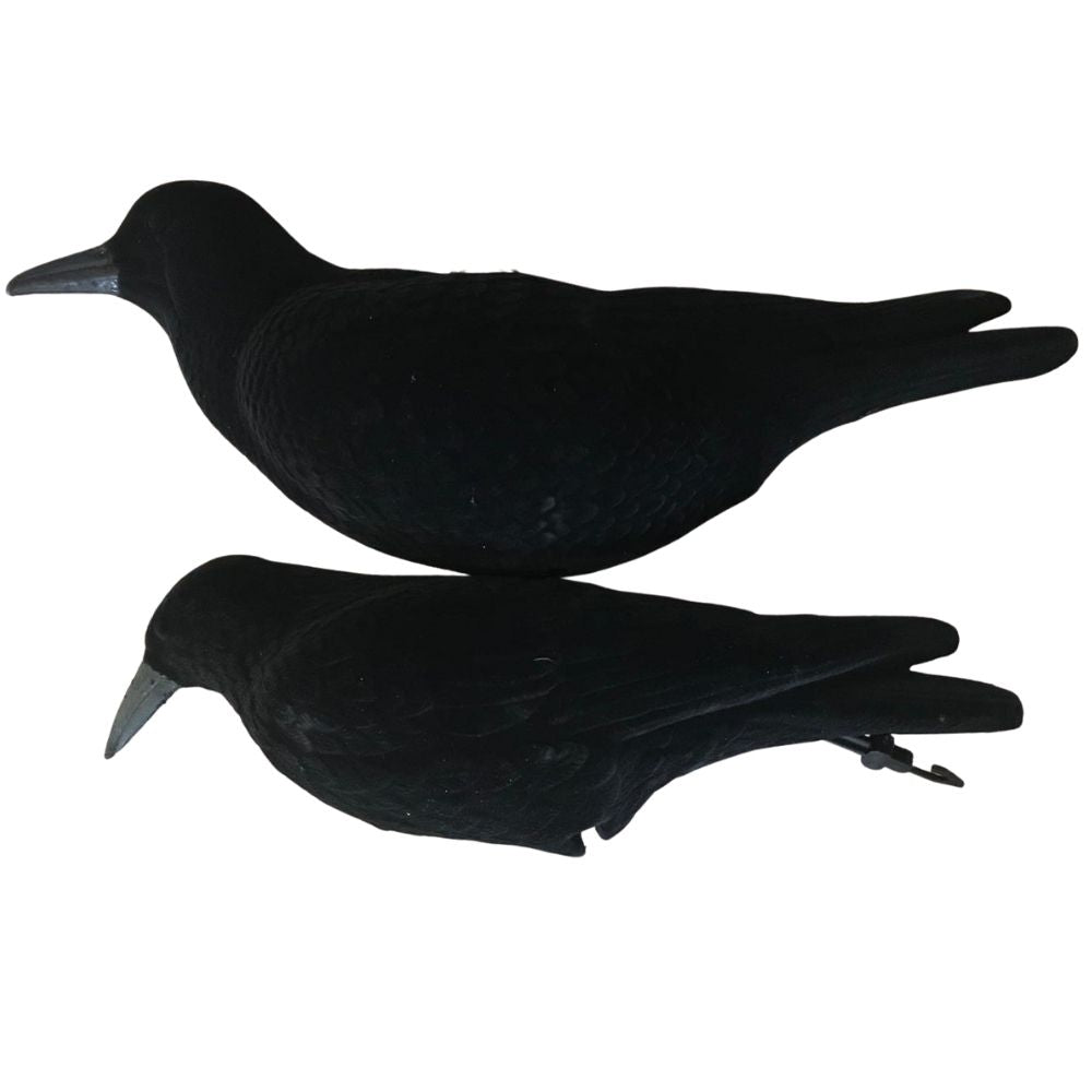 Windy Magnum Flocked Crow Full Body Decoys shown in natural pose with realistic flocked finish for hunting or birdwatching.