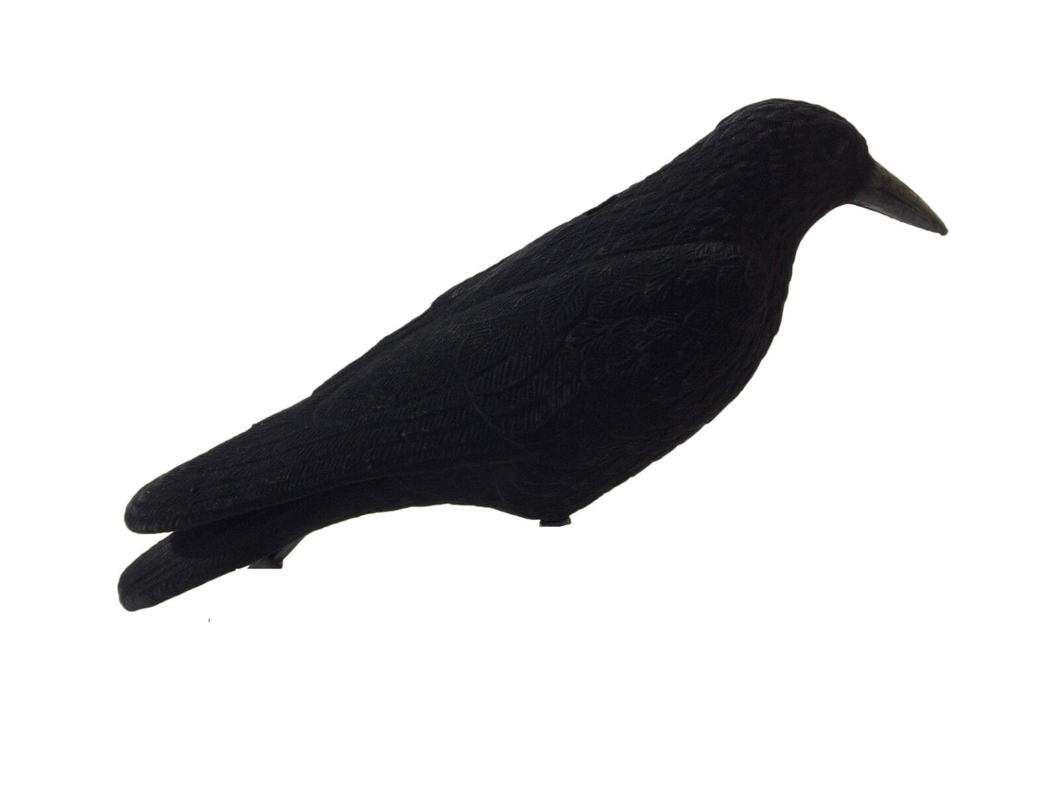 Mini WINDY magnet with three crow decoys, featuring realistic black crow images and magnetic backing for outdoor decoration.