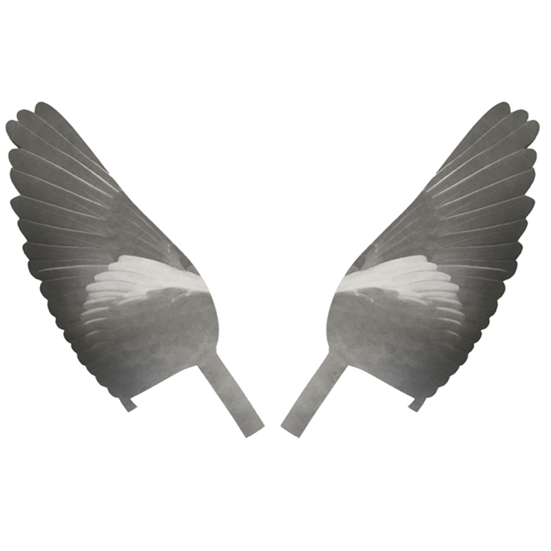 Windy PRO-FLAP decoy replacement wings with realistic feather details for optimal waterfowl hunting decoy setup.