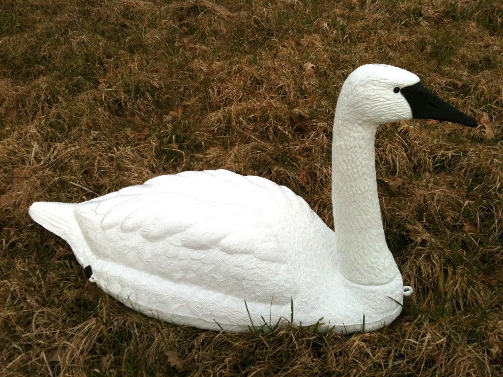 Full-size floating Trumpeter Black Beak Swan decoy by WINDY, realistic black beak and elegant swan design for waterfowl hunting.